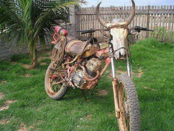 Funny Automobile Pictures