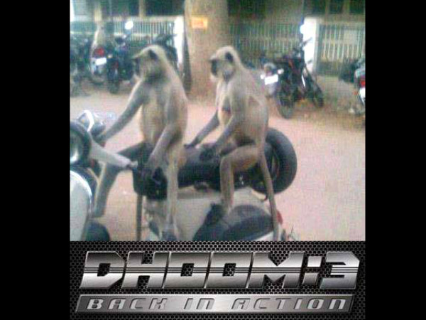 Funny Automobile Pictures