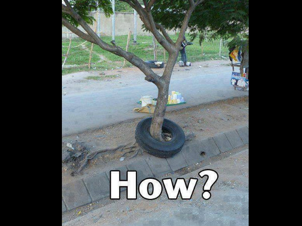 Funny Automobile Pictures