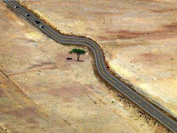 Funny Automobile Pictures