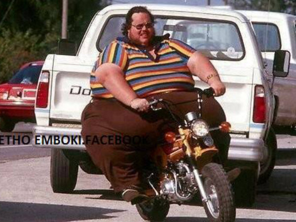 Funny Automobile Pictures