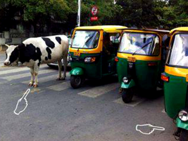 ఇక్కడ పశువు ఎవరు?