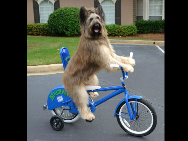 ఊరు, పేరేంటి?