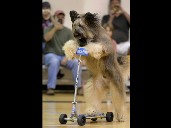 గిన్నిస్ బుక్‌లోకి ఆహ్వానం