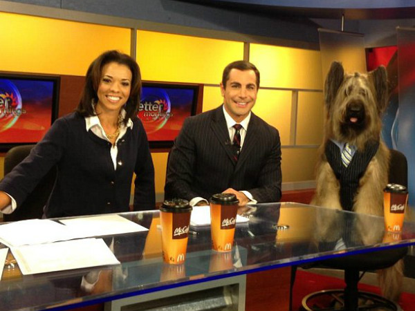 సెలబ్రిటీ డాగ్