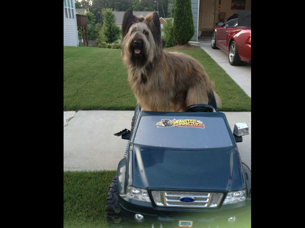 వెబ్‌సైట్, ఫేస్‌బుక్ అకౌంట్