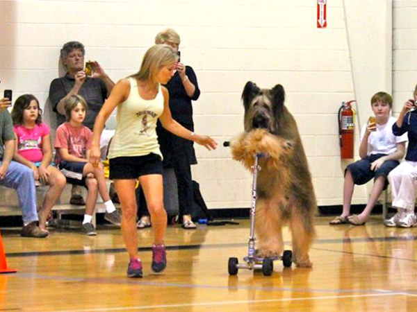 స్కూటర్‌పై