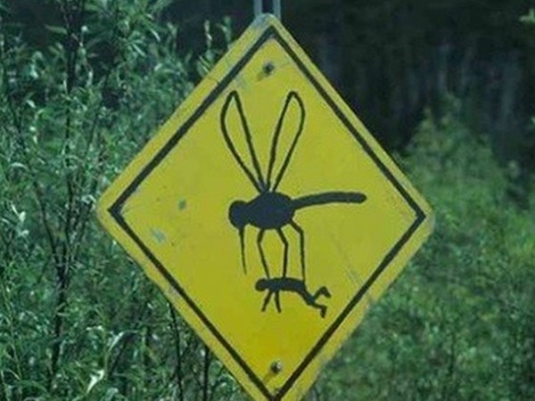 నవ్వు తెప్పించే సరదా రోడ్ సైన్స్