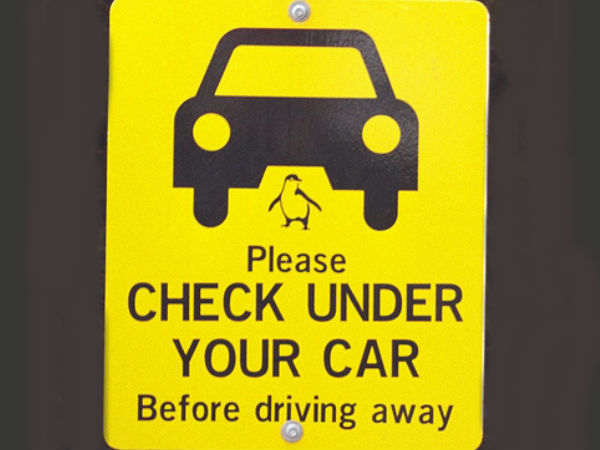 డెన్మార్క్