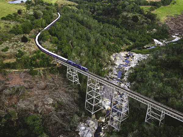 ది బ్లూట్రైన్