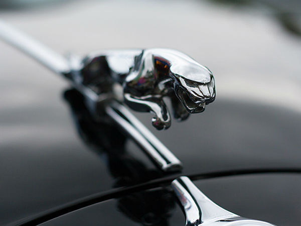 జాగ్వార్ - లీపర్