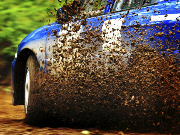 11. మడ్ ఫ్లాప్స్