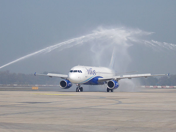 5. ఇండిగో