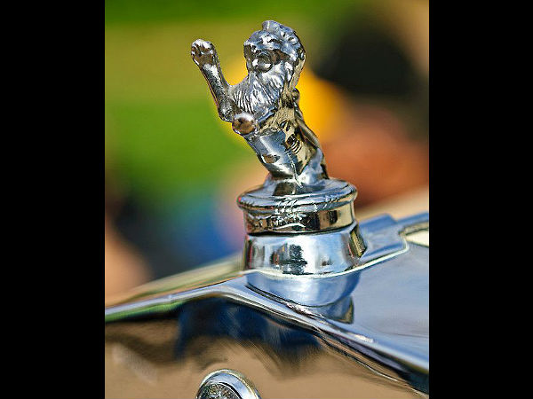 హుడ్ ఆర్నమెంట్స్