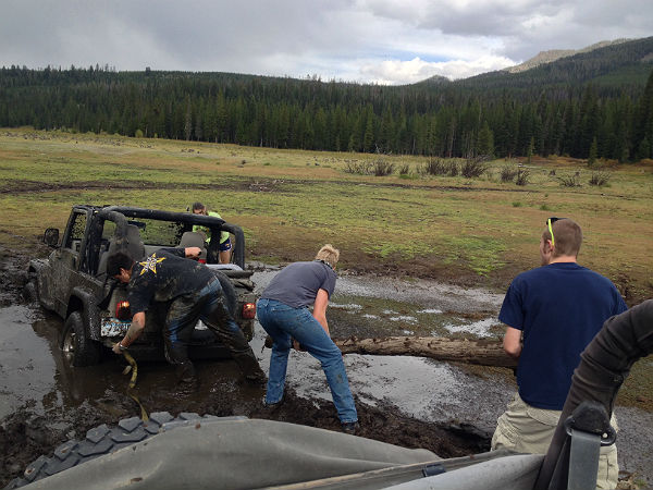 నెట్టుర నెట్టు హైలెస్సా.. 