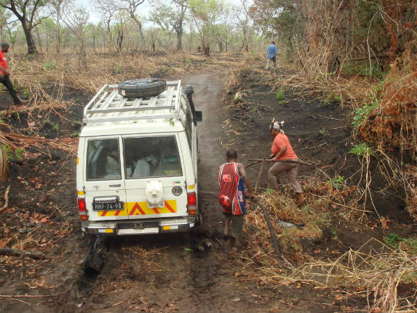 నెట్టుర నెట్టు హైలెస్సా.. 