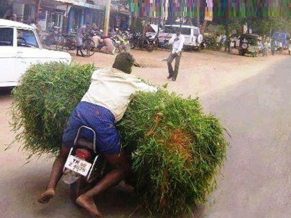 ఫన్నీ మోటార్‌సైకిల్ ఫొటోలు