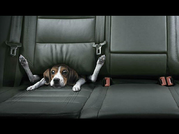 ఫన్నీ కార్ అడ్వర్టైజ్‌మెంట్స్