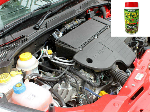 ర్యాట్ డిటరెంట్