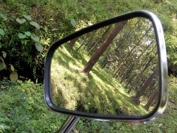 బజాజ్ అవెంజర్ 220 టెస్ట్ రైడ్ రివ్యూ