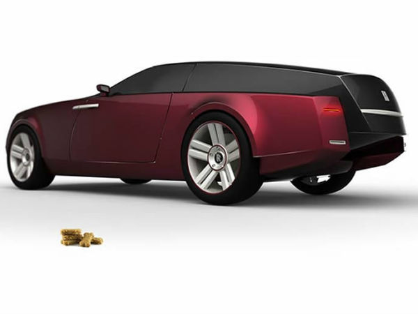 కుక్కల కోసం రోల్స్ రాయిస్ కారు!