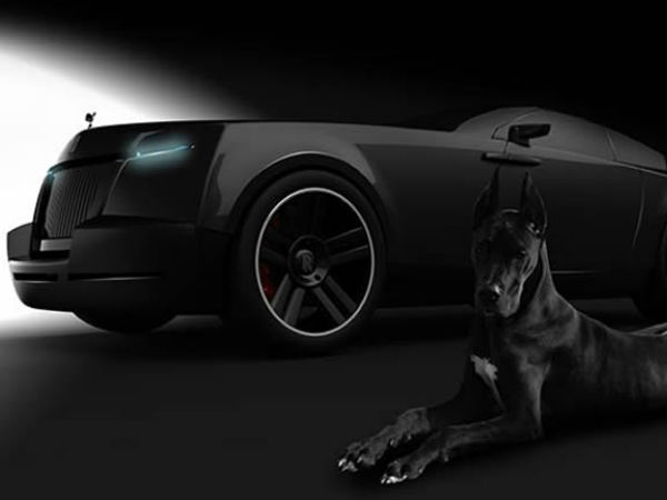 కుక్కల కోసం రోల్స్ రాయిస్ కారు!