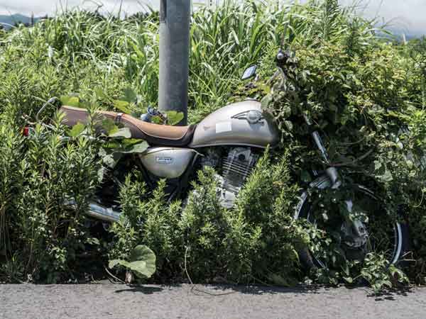 జపాన్ అణు విపత్తు యొక్క విషయాలు-నిర్ఘాంతపోయే సత్యాలు