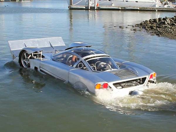  02. సముద్రపు సింహం (సీ లయన్)