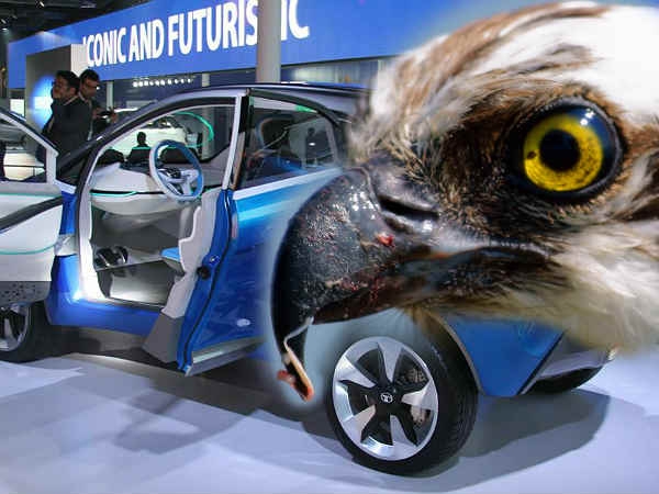  టాటా నెక్సాన్ కాంపాక్ట్ యస్‌‌యువి వచ్చేసిందోచ్....!!