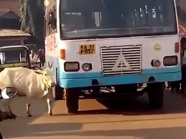  రాజమౌళి ఈగలా పగపట్టిన ఆవు