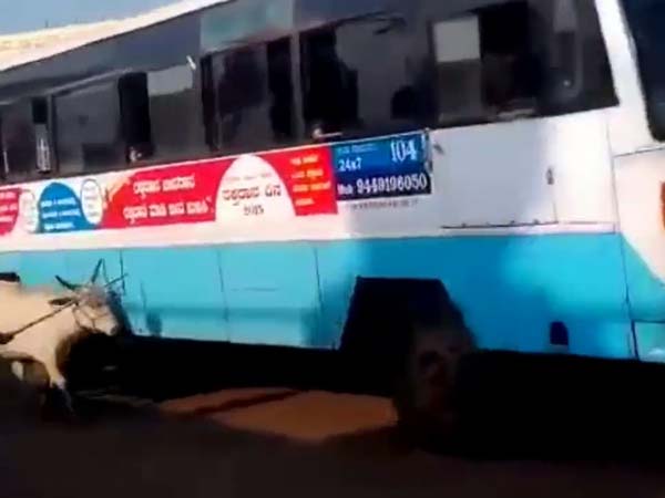  రాజమౌళి ఈగలా పగపట్టిన ఆవు