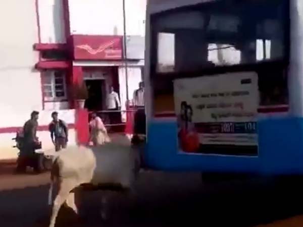  రాజమౌళి ఈగలా పగపట్టిన ఆవు