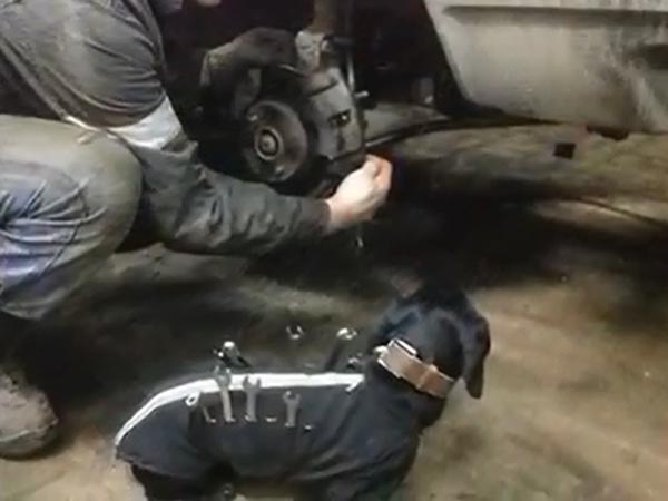  కారు మెకానిక్‌కు సహాయపడుతున్న మెకానిక్ 