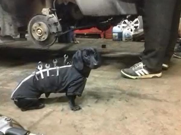  కారు మెకానిక్‌కు సహాయపడుతున్న మెకానిక్ 