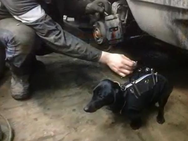  కారు మెకానిక్‌కు సహాయపడుతున్న మెకానిక్ 