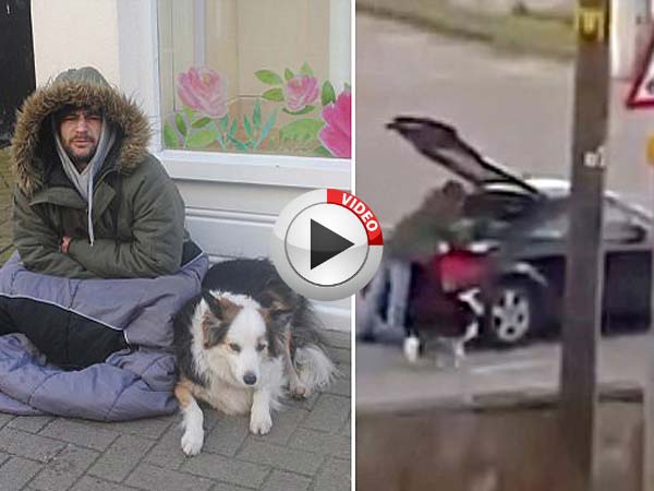 ఖరీదైన భిక్షగాడు: ఆడి కారులో వచ్చి అడుక్కుంటాడు