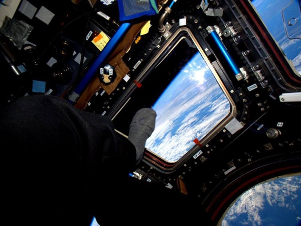 కీలక పాత్ర