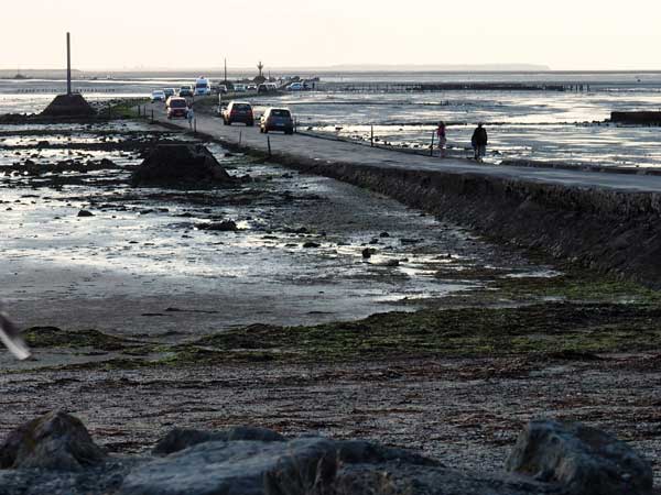 5. పాసేజ్ డ్యు గోయిస్ - ఫ్రాన్స్ 