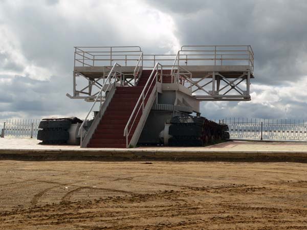 21.96 క్యారెట్ వజ్రం 