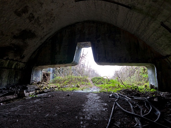 మొదటి కర్తవ్యం