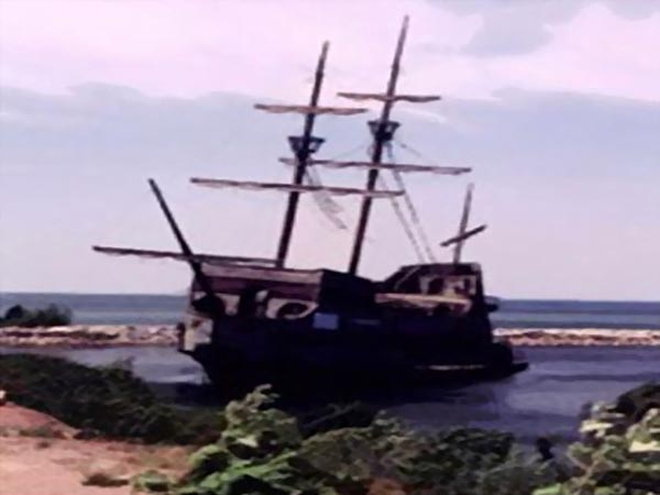 12. బెల్ అమికా 