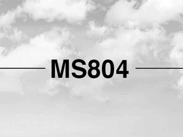 ఈజిప్ట్ విమాన ప్రమాదం ఏలియన్స్ పనేనా ? 