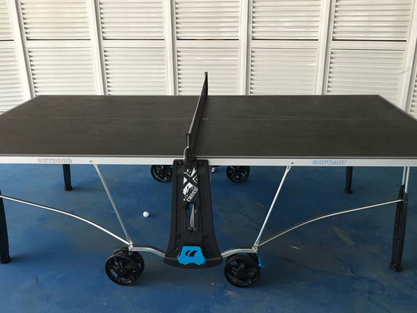 11. టేబుల్ టెన్నిస్