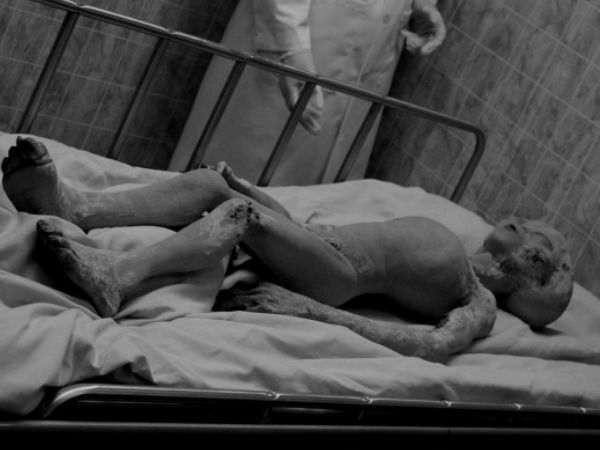 12. నోబెల్ బహుమతి ఖాయం