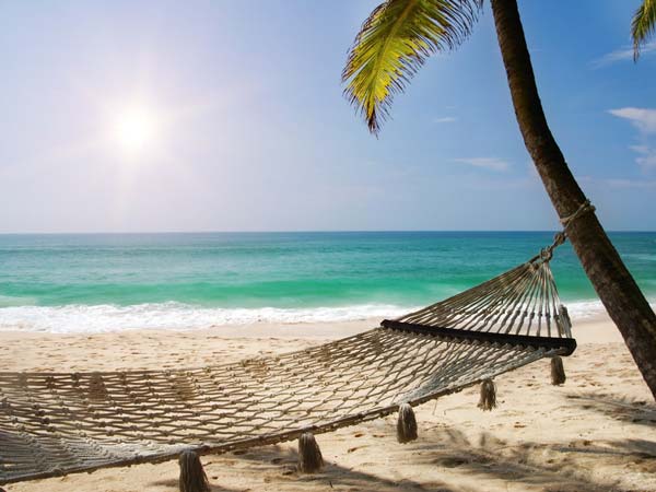 5. శాశ్విత అతిథులు