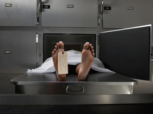 ఎక్కువ మంది చదివిన కథనాలు మీ కోసం...