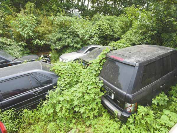 200 కార్లకు పైగా ఉన్న లగ్జరీ కార్ల శ్మశానం