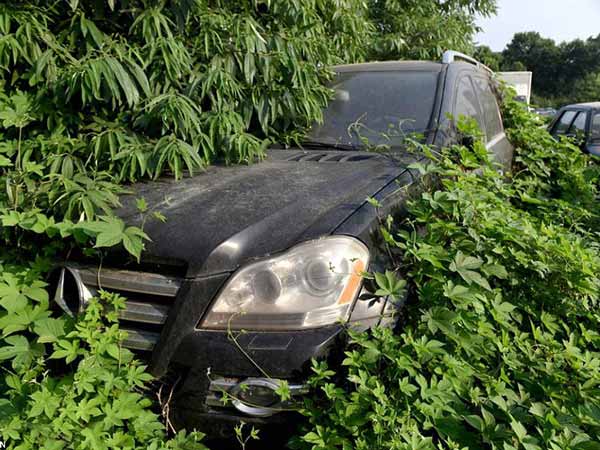 200 కార్లకు పైగా ఉన్న లగ్జరీ కార్ల శ్మశానం