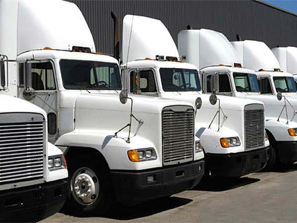 15. ఎకో ఫ్రెండ్లీ రవాణా రంగం 