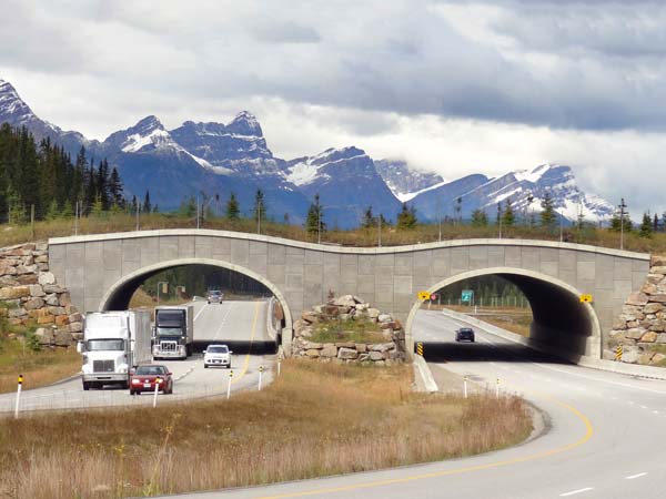 04. ట్రాన్స్-కెనడా హై వే